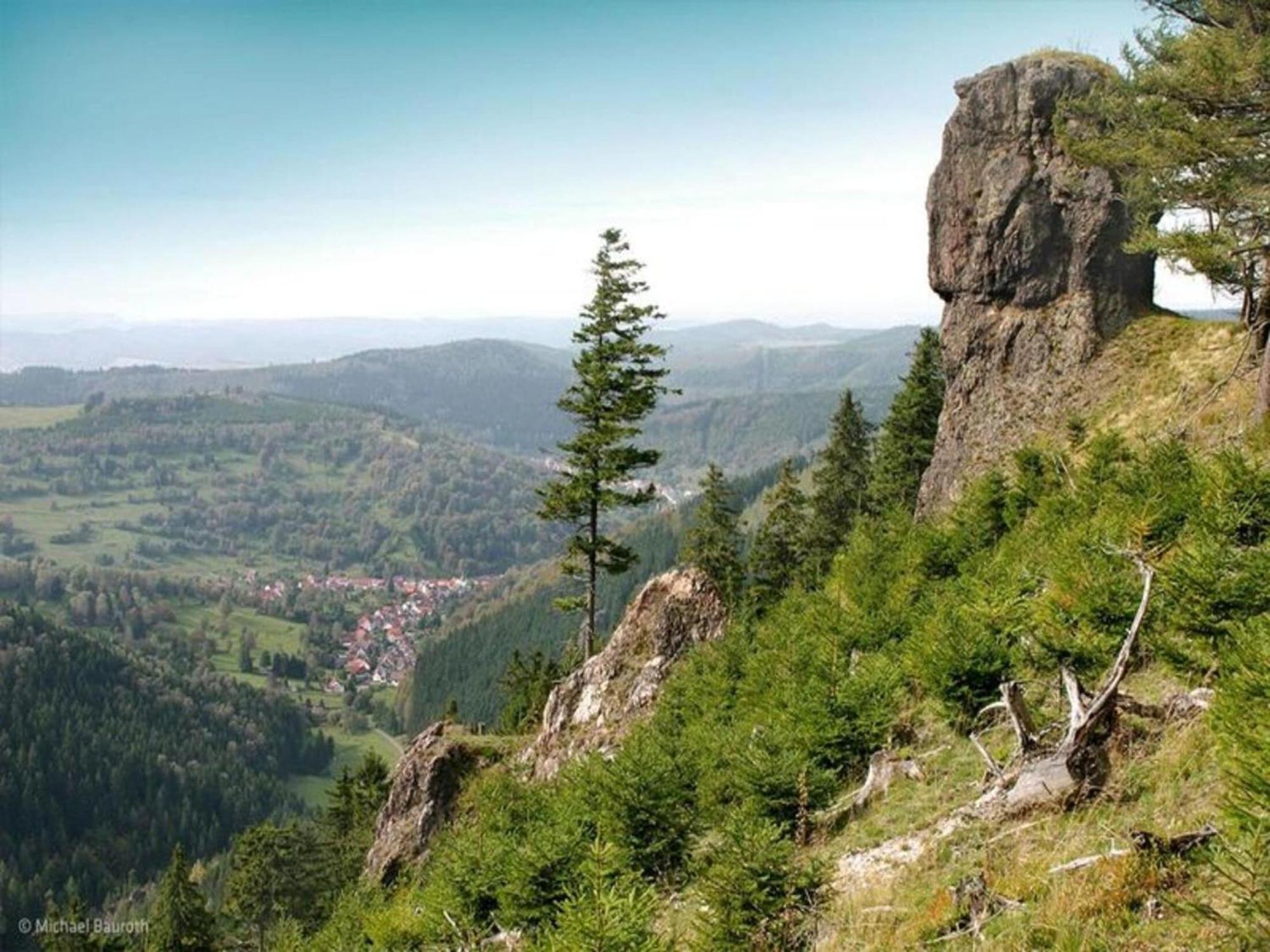 Vacation Home Am Hermannsberg, Oberschoenau Oberschonau 外观 照片